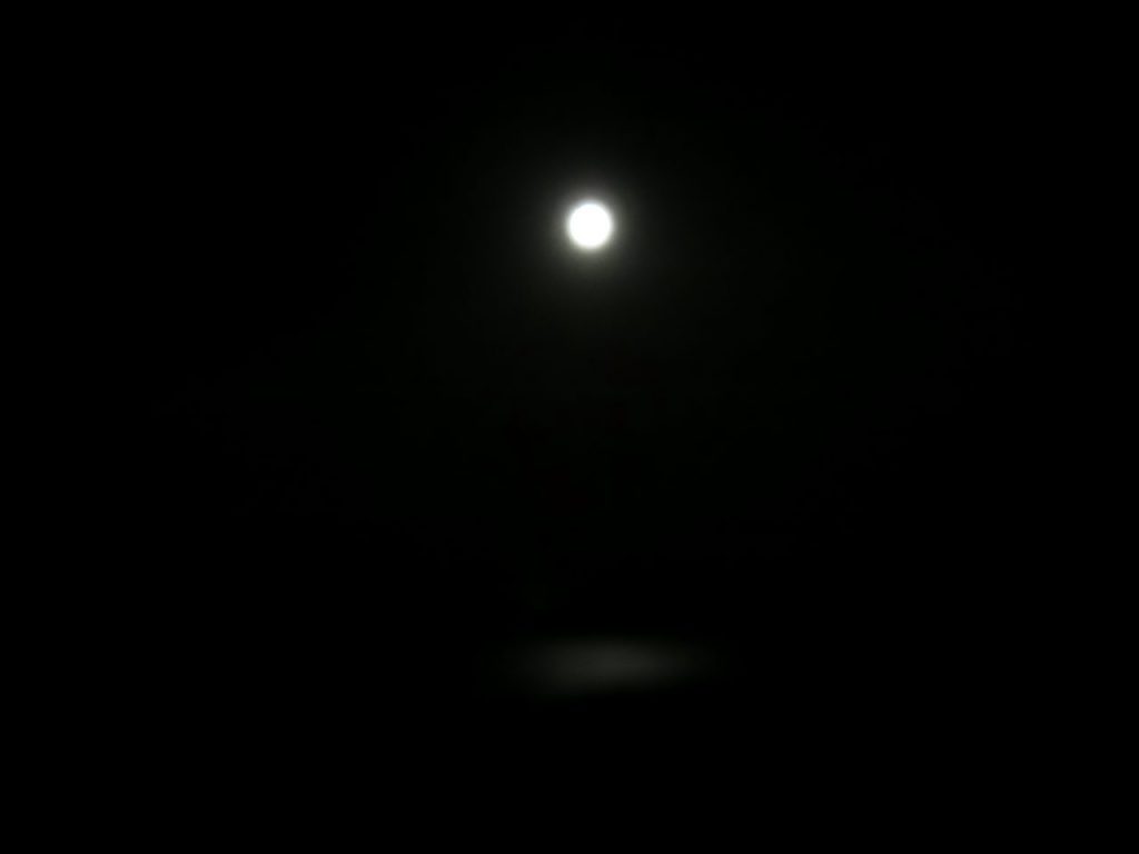 海に映る月